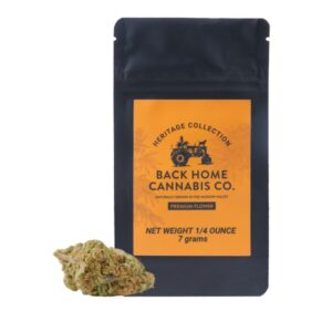 BH ACAPULACO GOLD POUCH 600×600