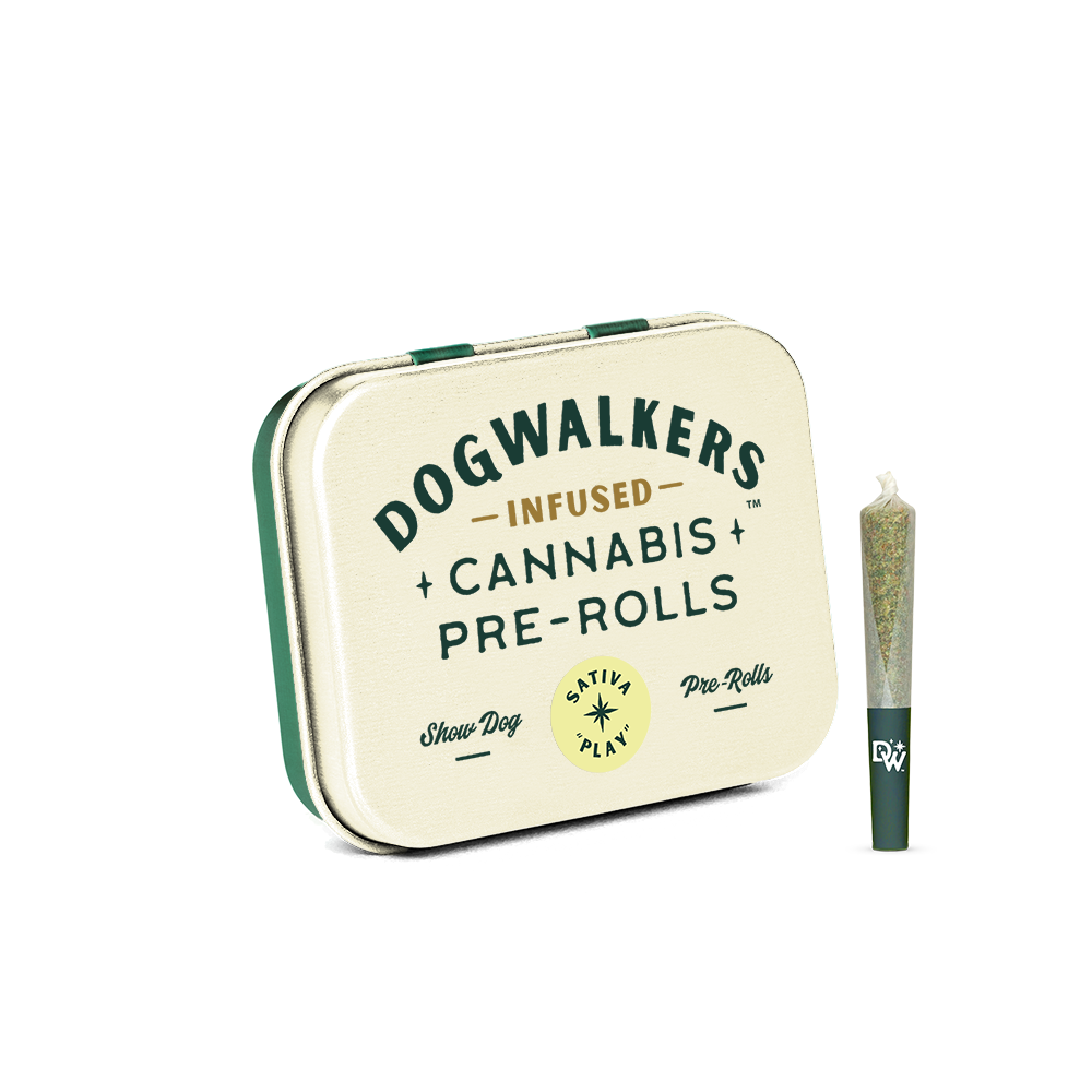 Dogwalker Hash Queen Big Dogs Infused Pre-Roll (Sativa) 43.33% {1g}
