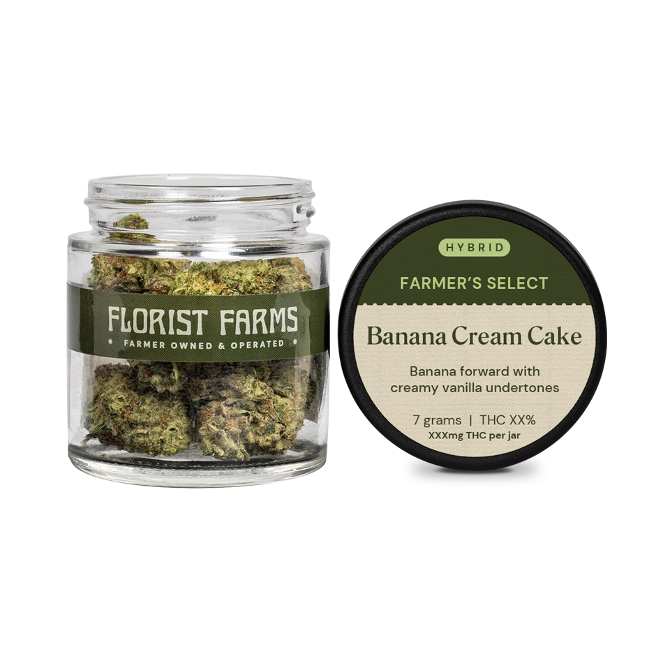 Florist Farms Banana Cream Cake Flower Hybrid 7g