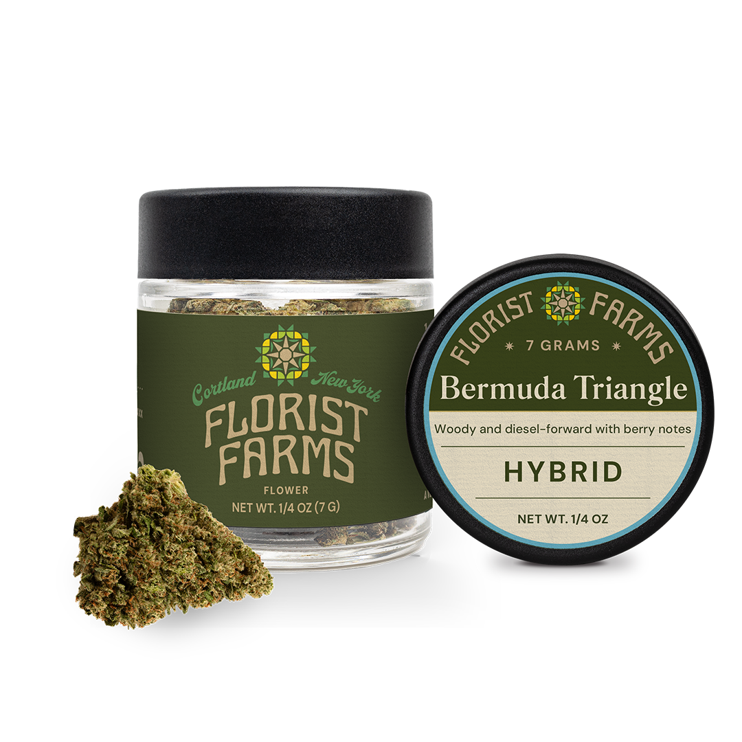 Florist Farms Bermuda Triangle Flower  (Hybrid) 26% {7g}
