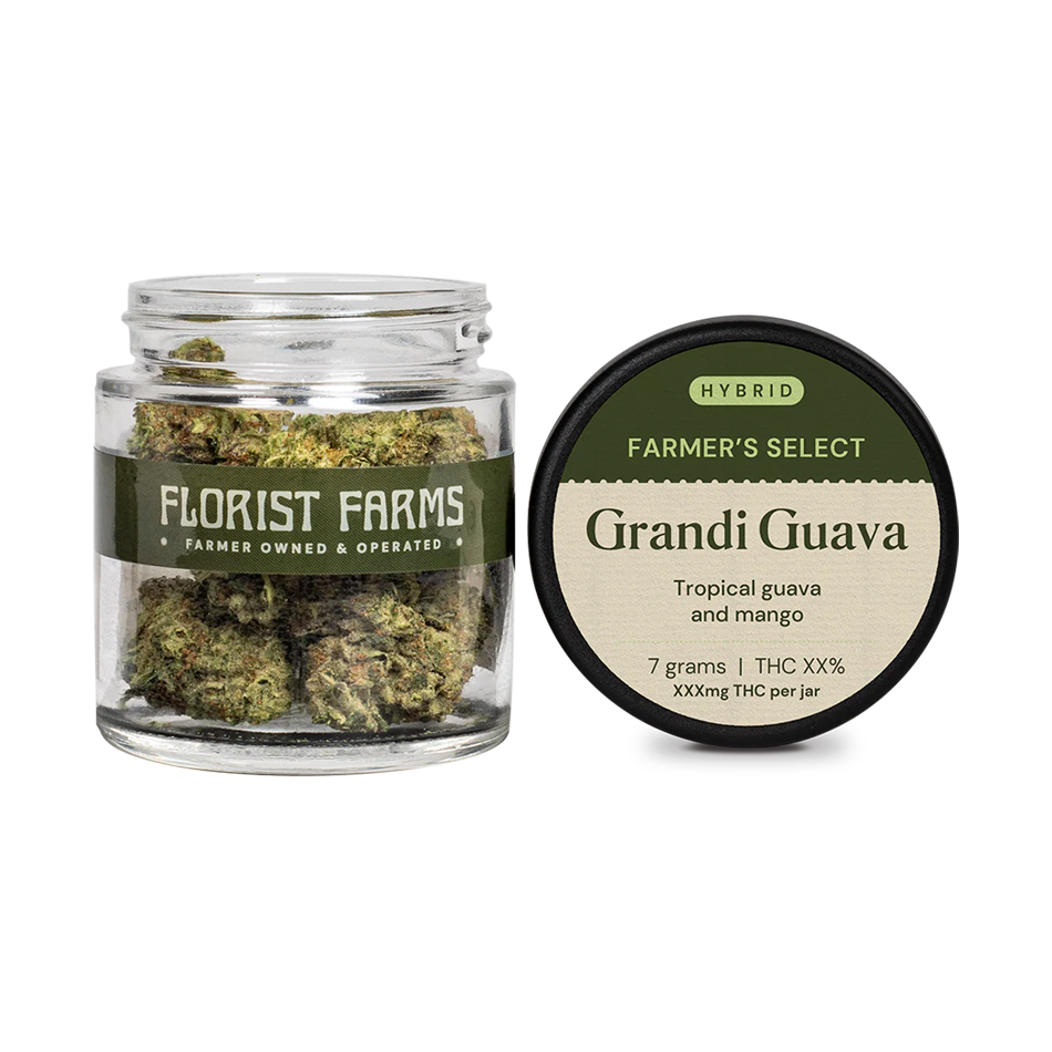 Florist Farms Grandi Guava Flower Hybrid 7g