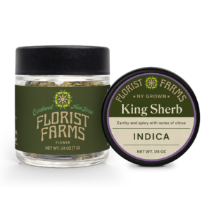 Florist Farms King Sherb Flower Indica 28