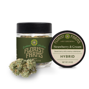 Florist Farms Strawberry Cream Flower Hybrid