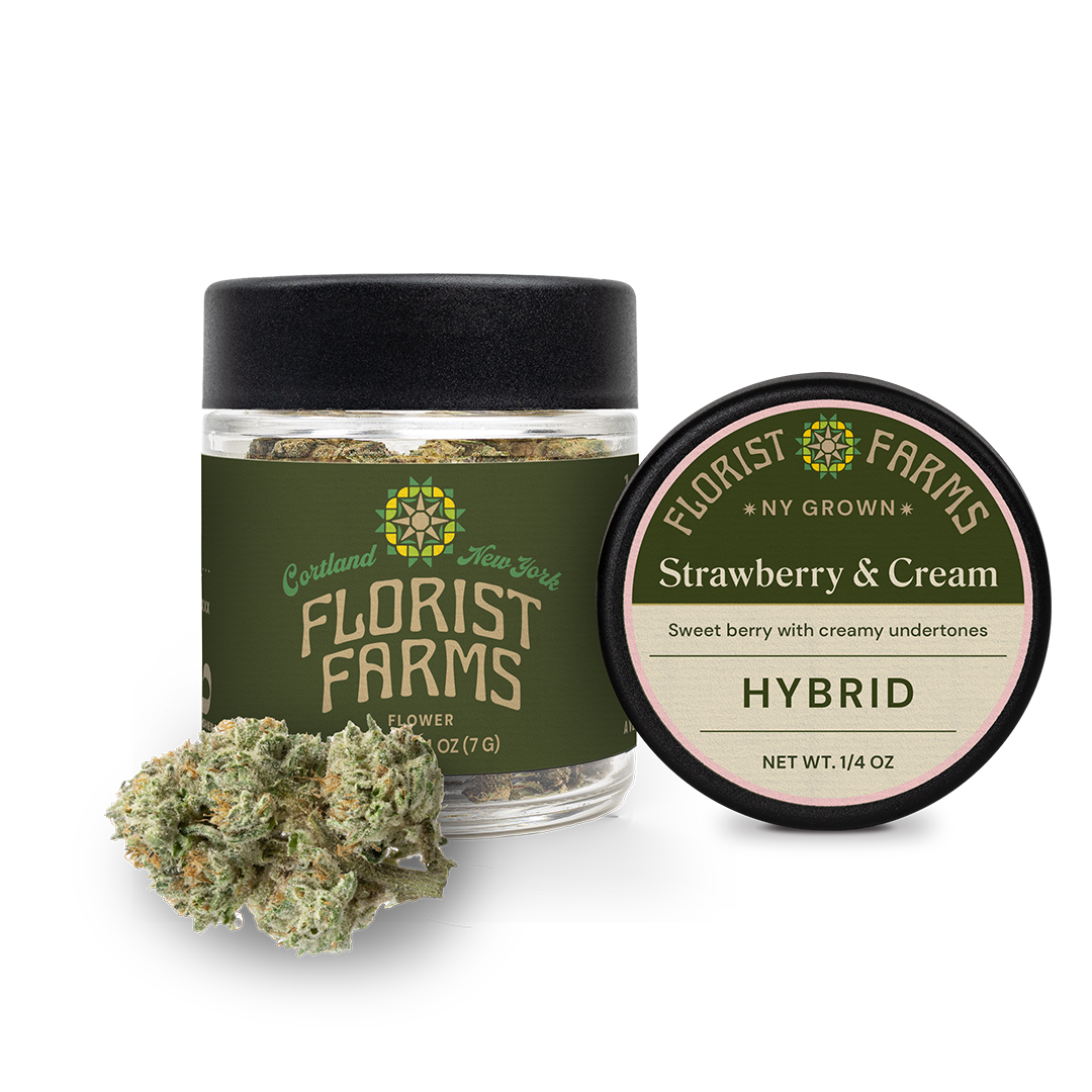 Florist Farms Strawberry Cream Flower  (Hybrid) 22% {7g}