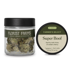 Florist Farms Super Boof Flower Hybrid