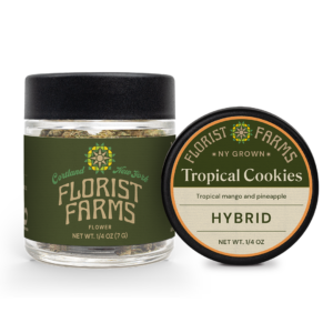 Florist Farms Tropicana Cookies Flower Hybrid