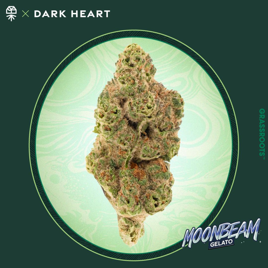Grassroots Moonbeam Gelato Flower (Hybrid) 28% {7g}