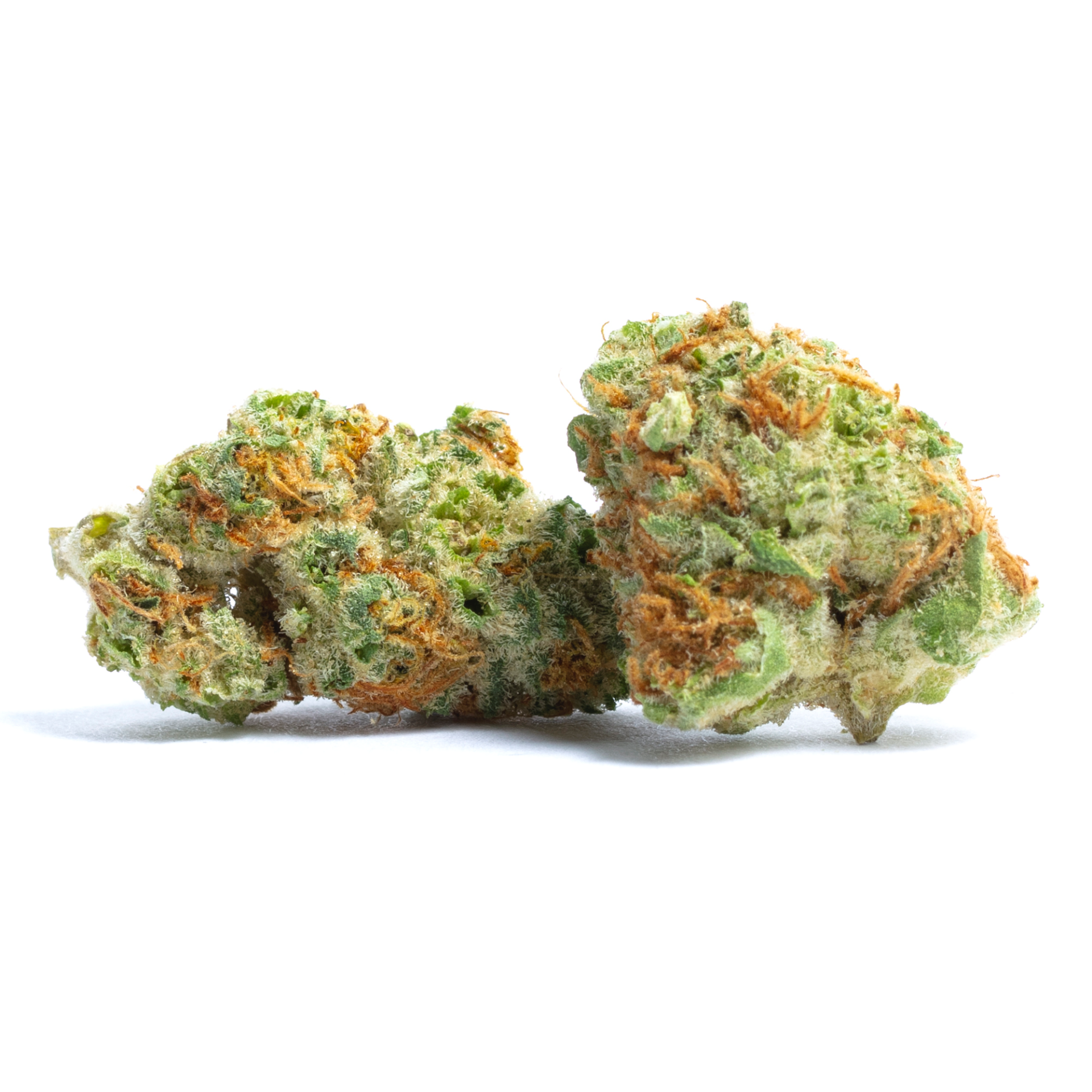 Grocery Tangie Dream Flower  (Sativa) 29.48% {28g}