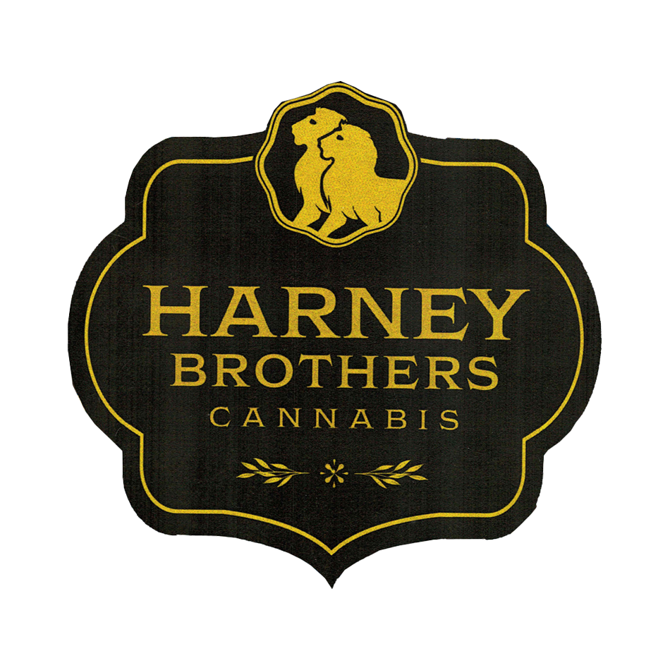 Harney Brothers Coffee 2oz Focus coffee Shot Drink (Sativa) {5mg}