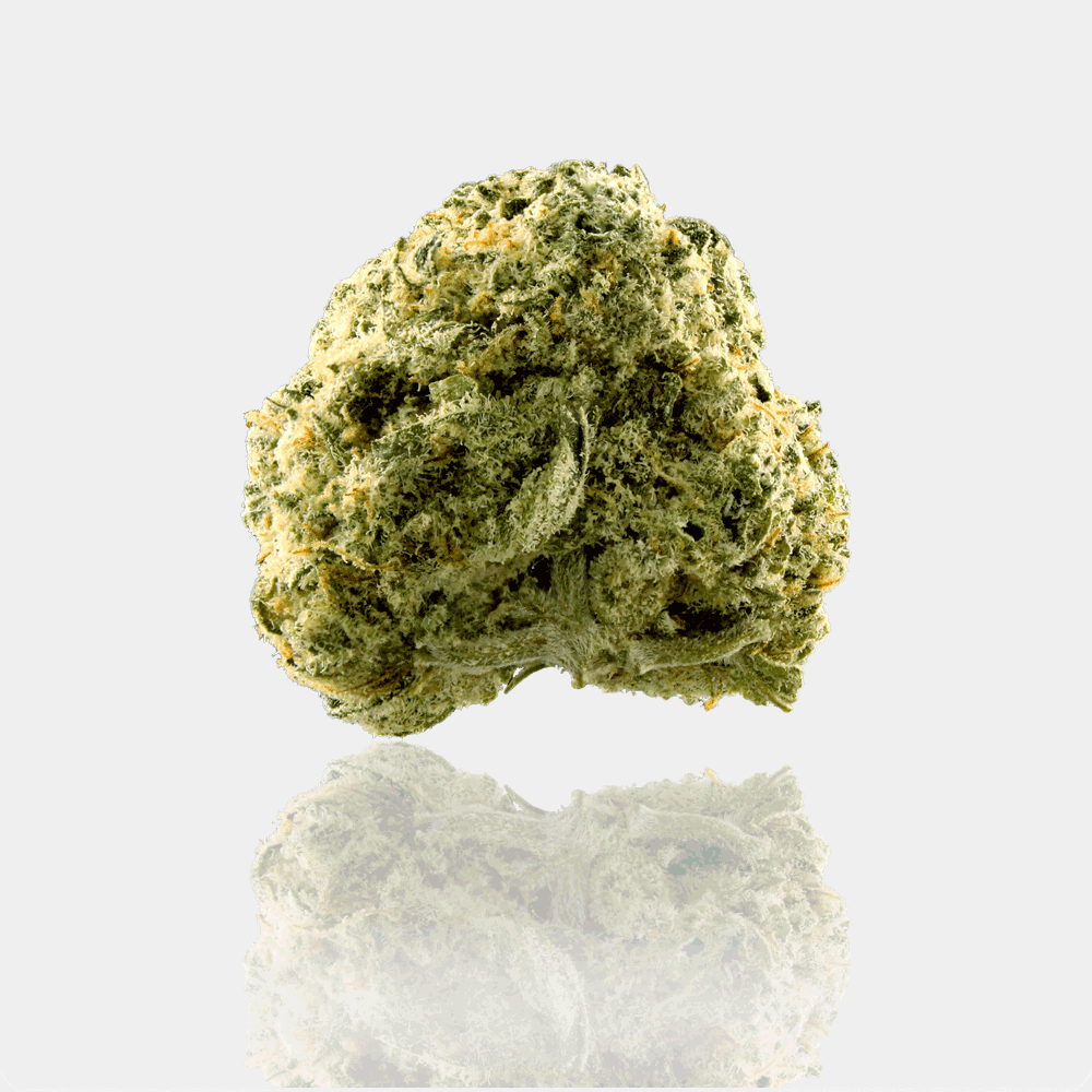 High Peaks Orangutan Cookies Flower (Hybrid Indica) 26% {3.5g}