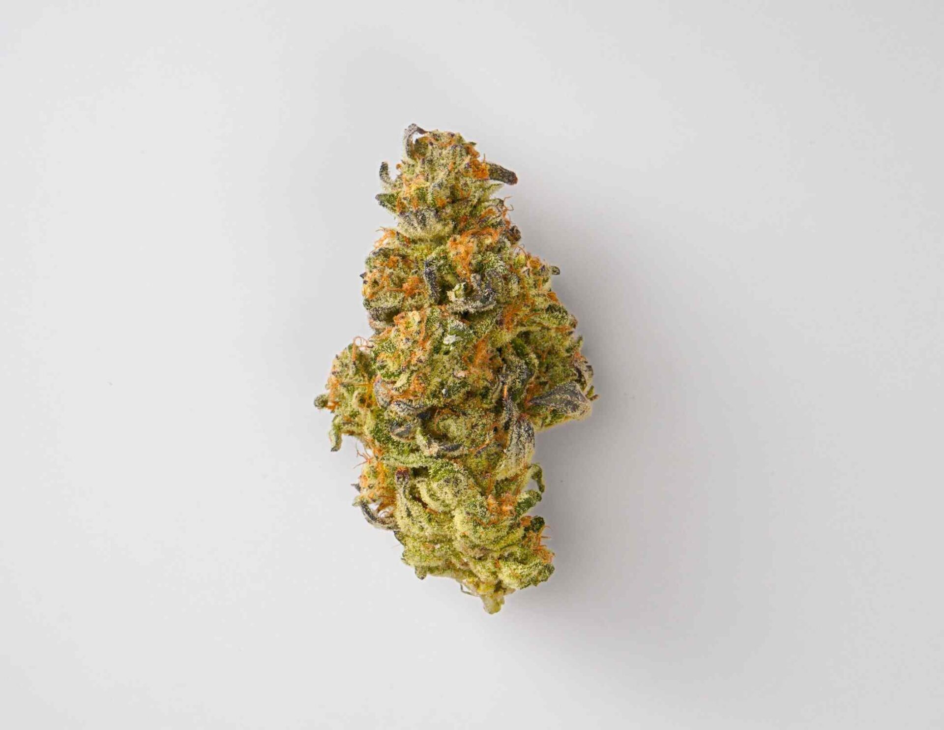 House of Sacci Airmail Flower  (Indica) 27% {0.7g}