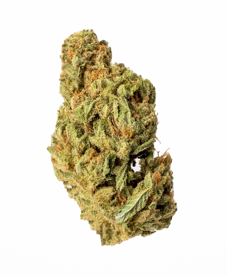 House of Sacci Blueberry Muffin flower (Indica) 18.8% {3.5g}