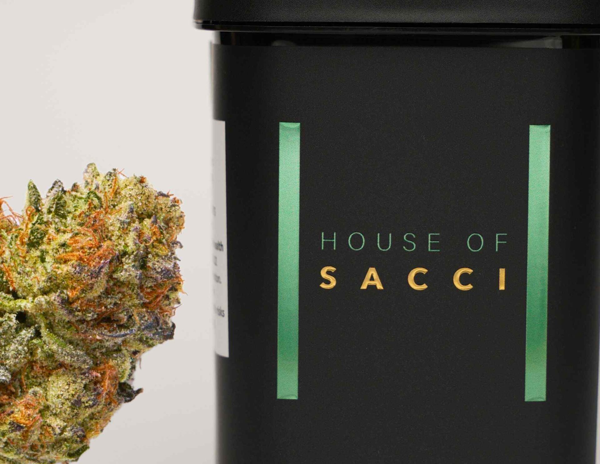 House of Sacci Garlic Sauce Flower  (Hybrid) 20% {3.5g}