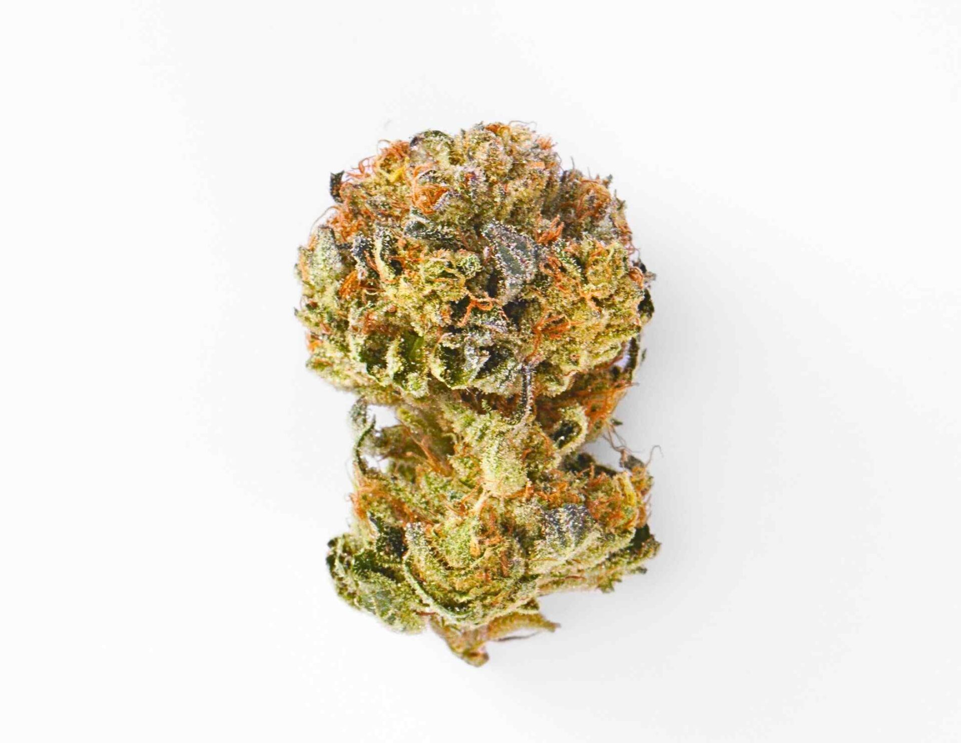 House of Sacci Hazmat Pre-Rolls 7-pack (Hybrid) 25% {3.5g}