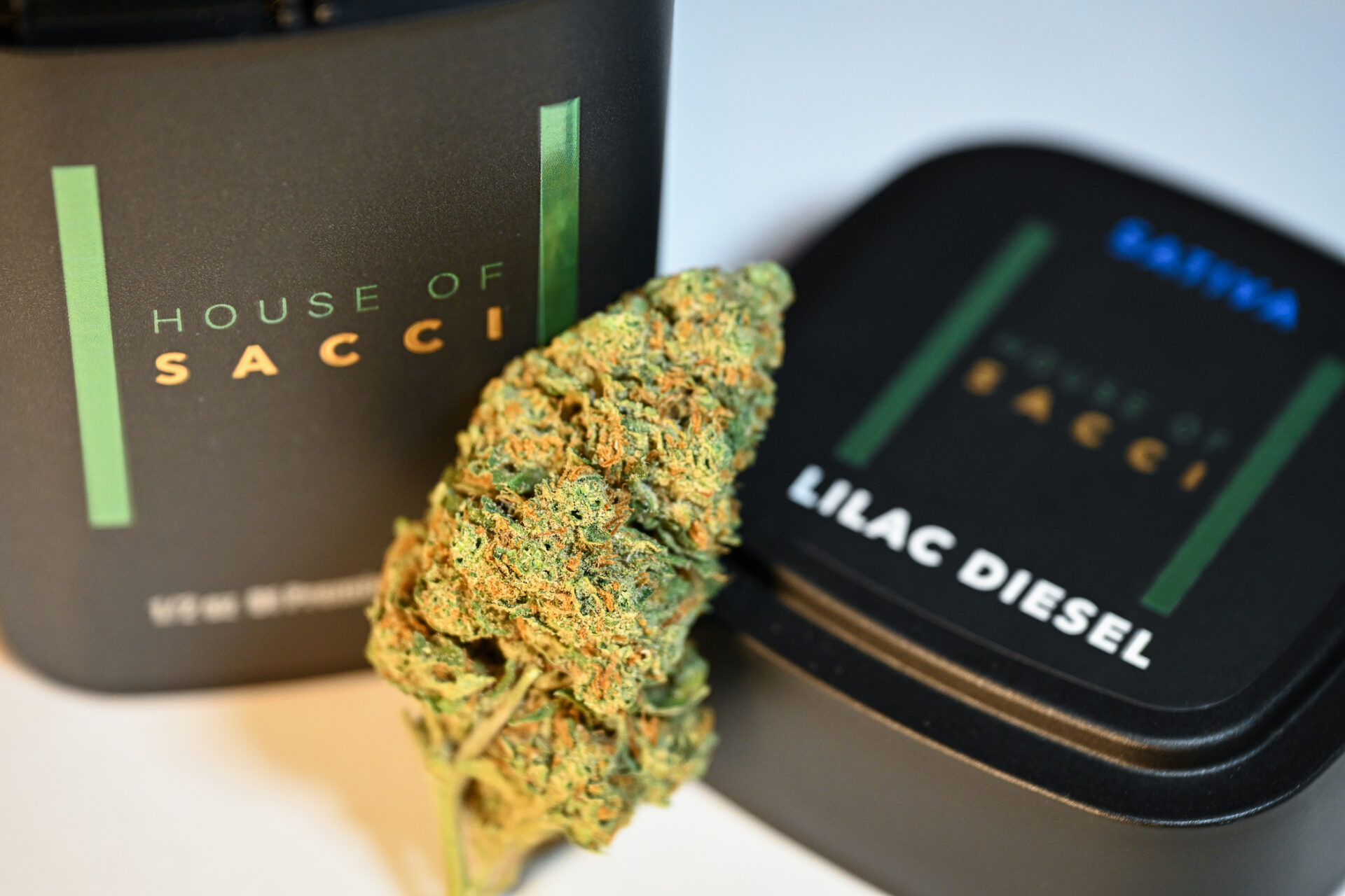 House of Sacci Lilac Diesel Flower (Sativa) 21.01% {3.5g}