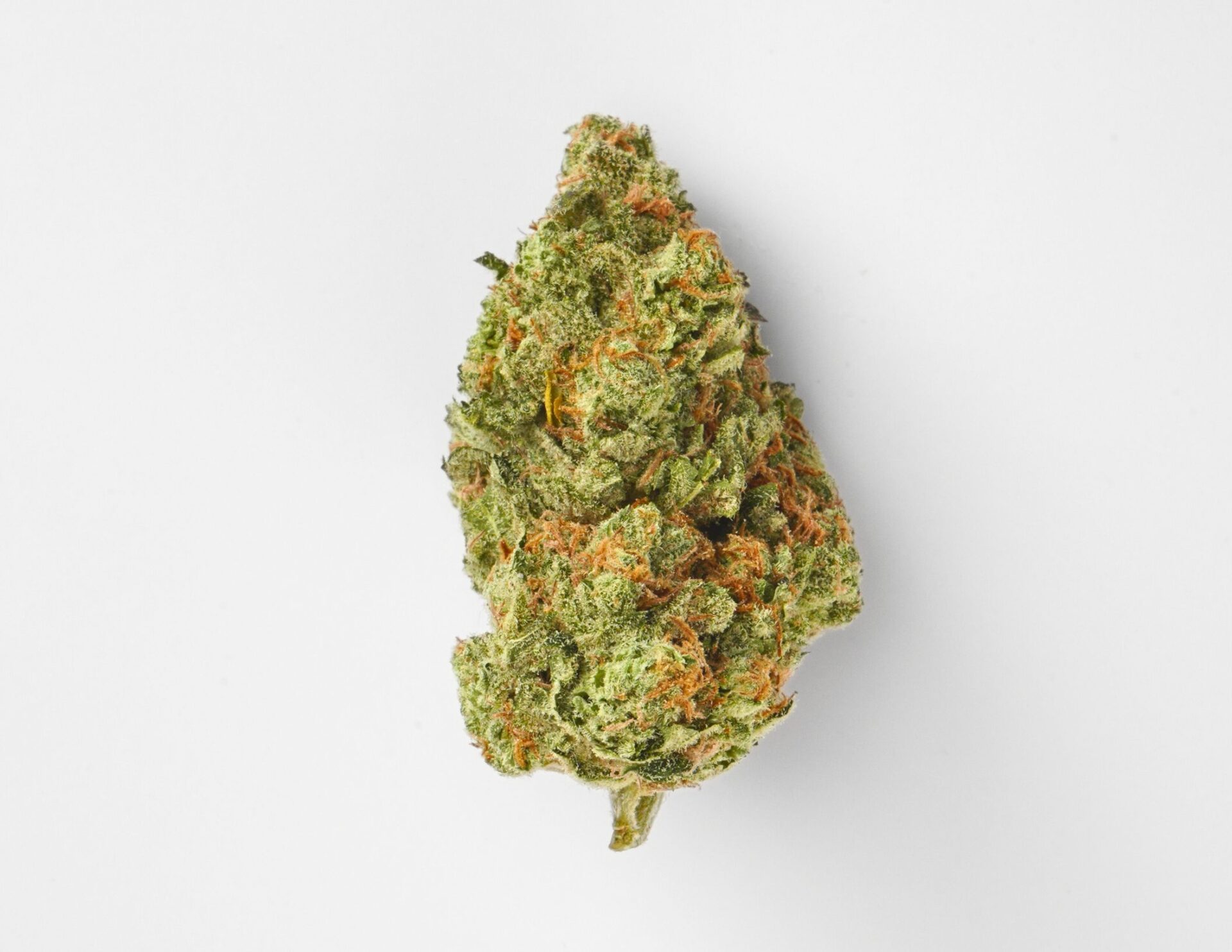 House of Sacci Maui Waui Flower  (Sativa) {3.5g}