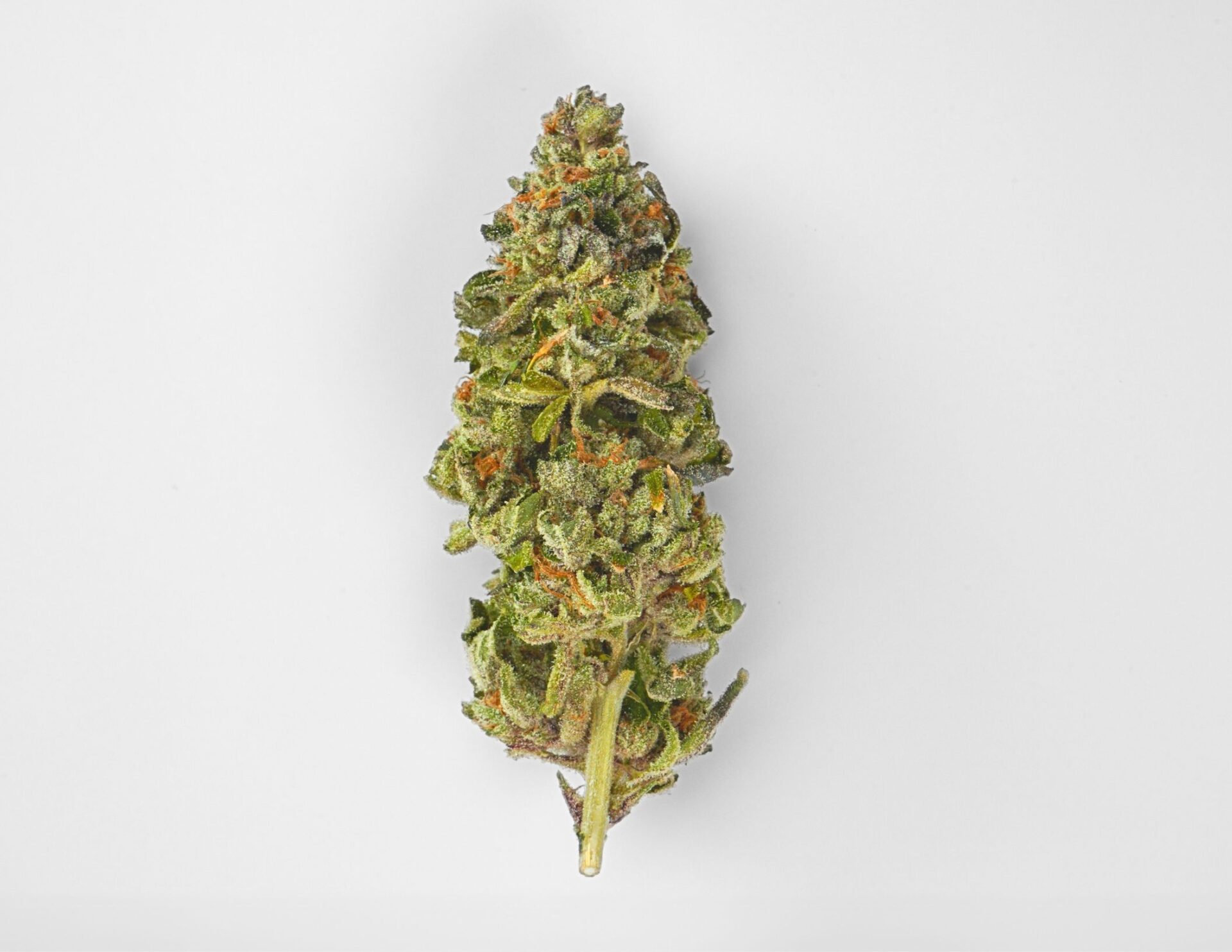 House of Sacci New York City Vapor Flower  (Hybrid) 33% {3.5g}