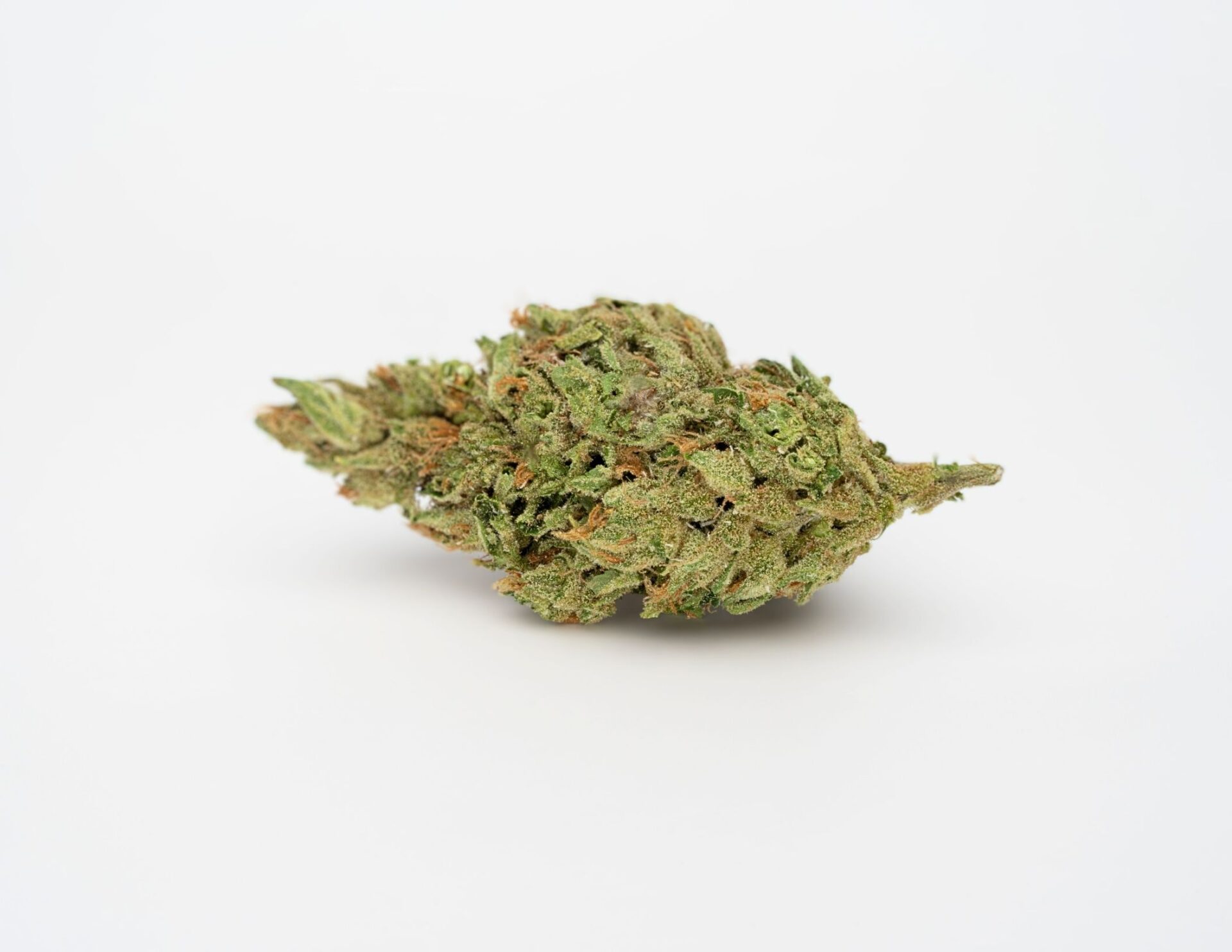 House of Sacci OG Kush Flower (Hybrid) 22% {14g}