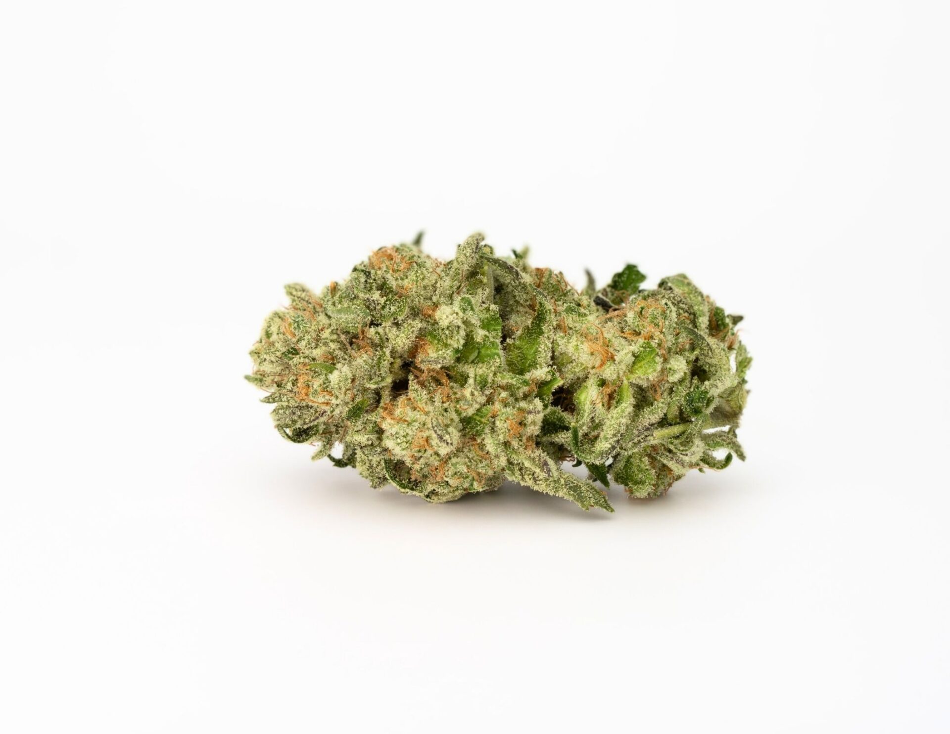 House of Sacci Purple Z Flower (Hybrid) 27% {3.5g}