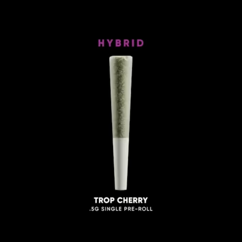 House of Sacci Trop Cherry Dogwalker Pre-Roll (Hybrid) 21.14% {0.5g}