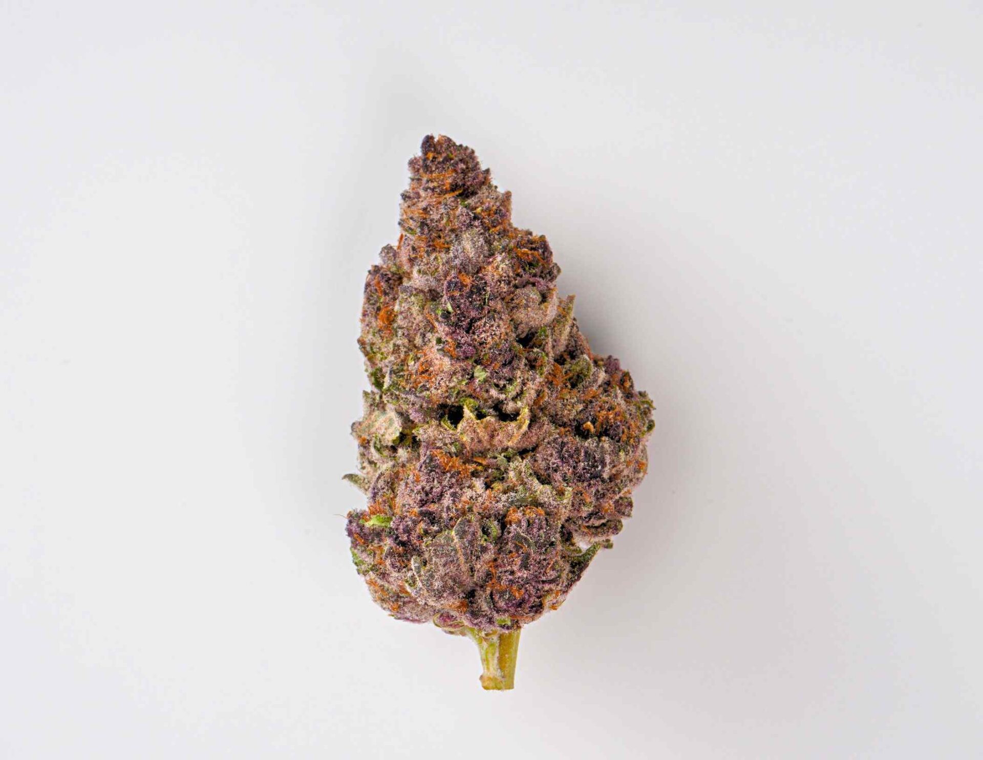 House of Sacci Trop Cherry Pre-Roll 7-pack (Sativa) 24% {3.5g}