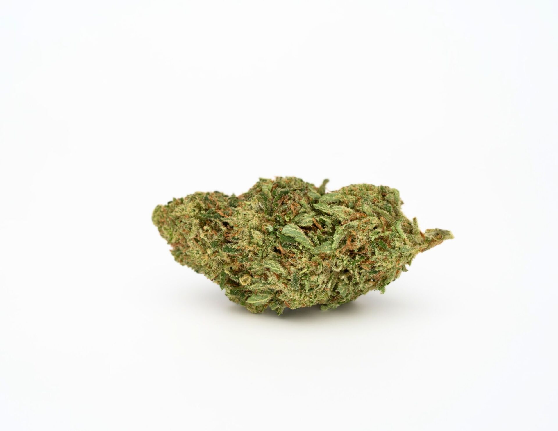 House of Sacci Watermelon Z Pre-Rolls 7-pack (Hybrid) 35% {3.5g}