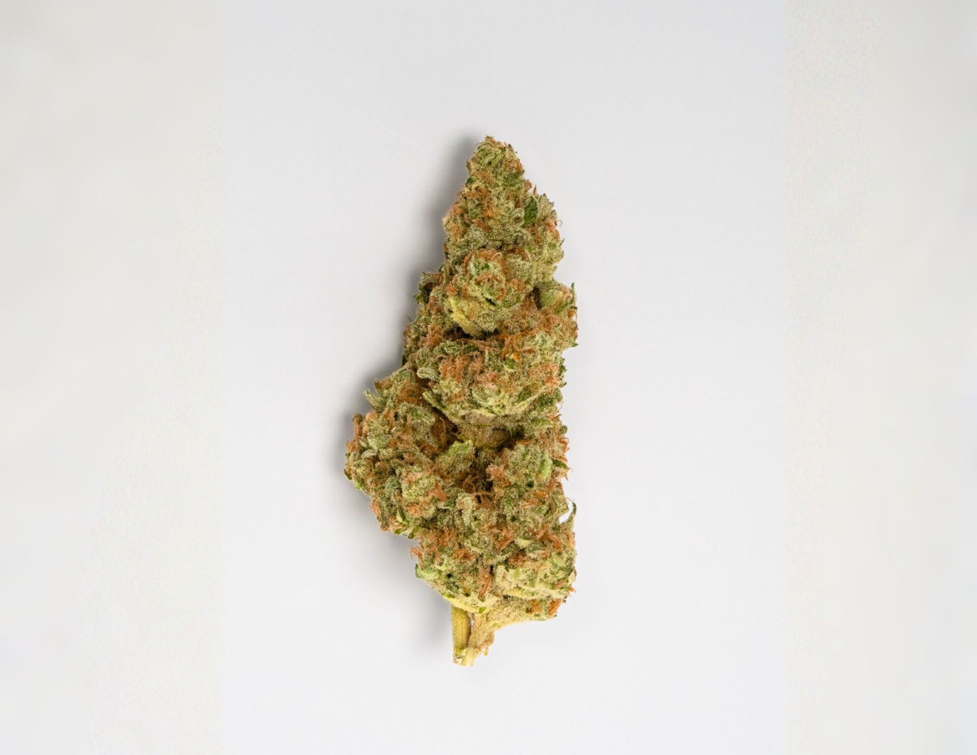 House of Sacci White Diamonds Flower  31% {3.5g}