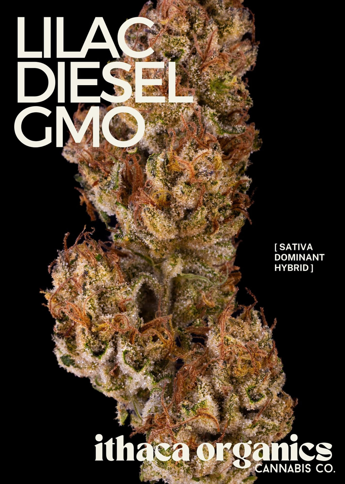 Ithaca Organics Lilac Diesel Flower (Sativa) 25% {3.5g}