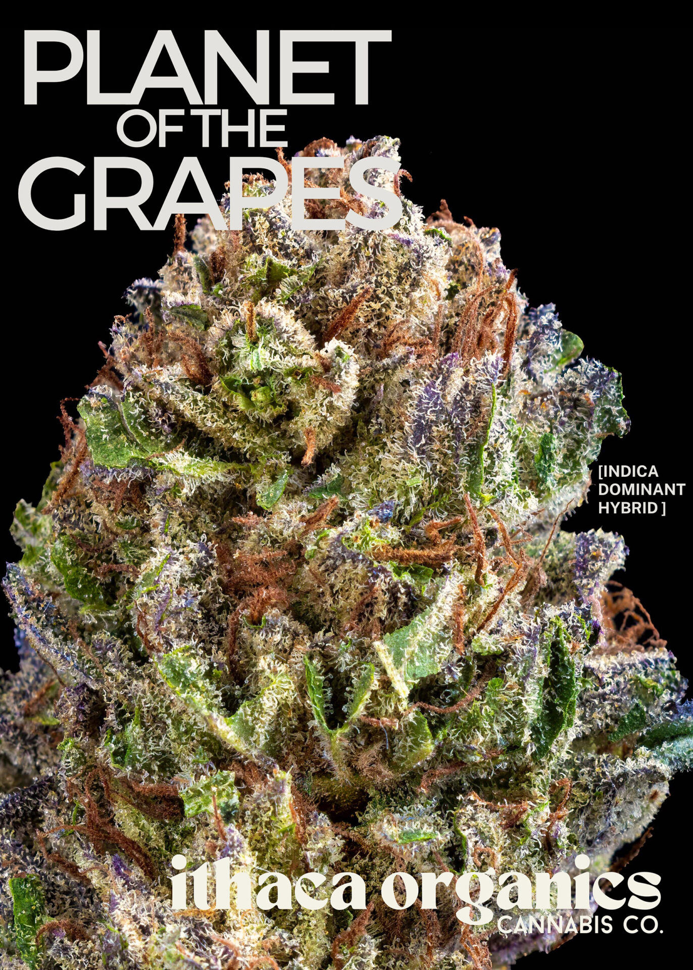 Ithaca Organics Planet of the Grapes Pre-Roll (Hybrid Indica) 19% {1g}