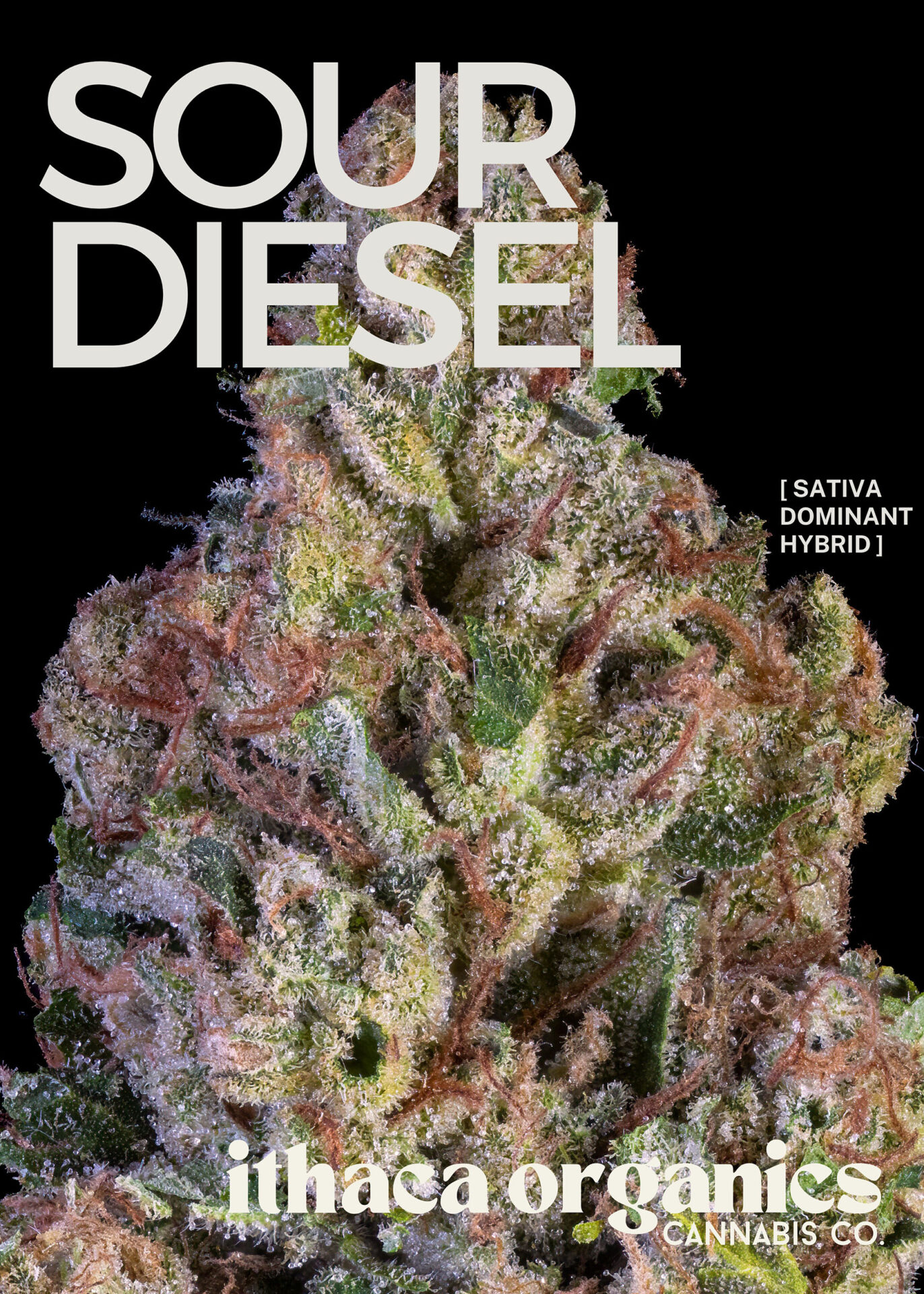 Ithaca Organics Sour Diesel Ice Water Hash  (Sativa) 62.8% {1g}