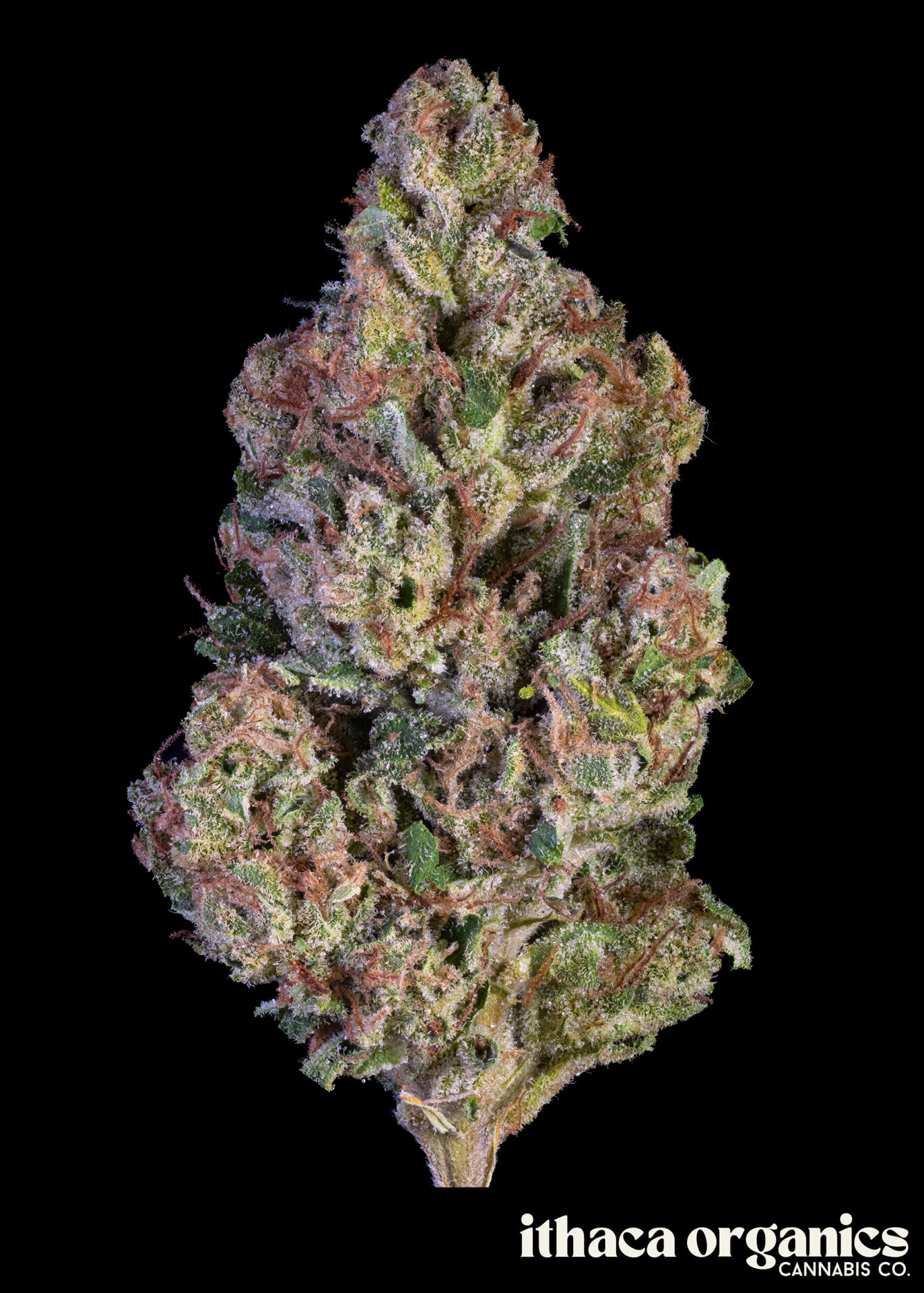 Ithaca Organics Sour Diesel Ice Water Hash  (Sativa) 62.8% {1g}