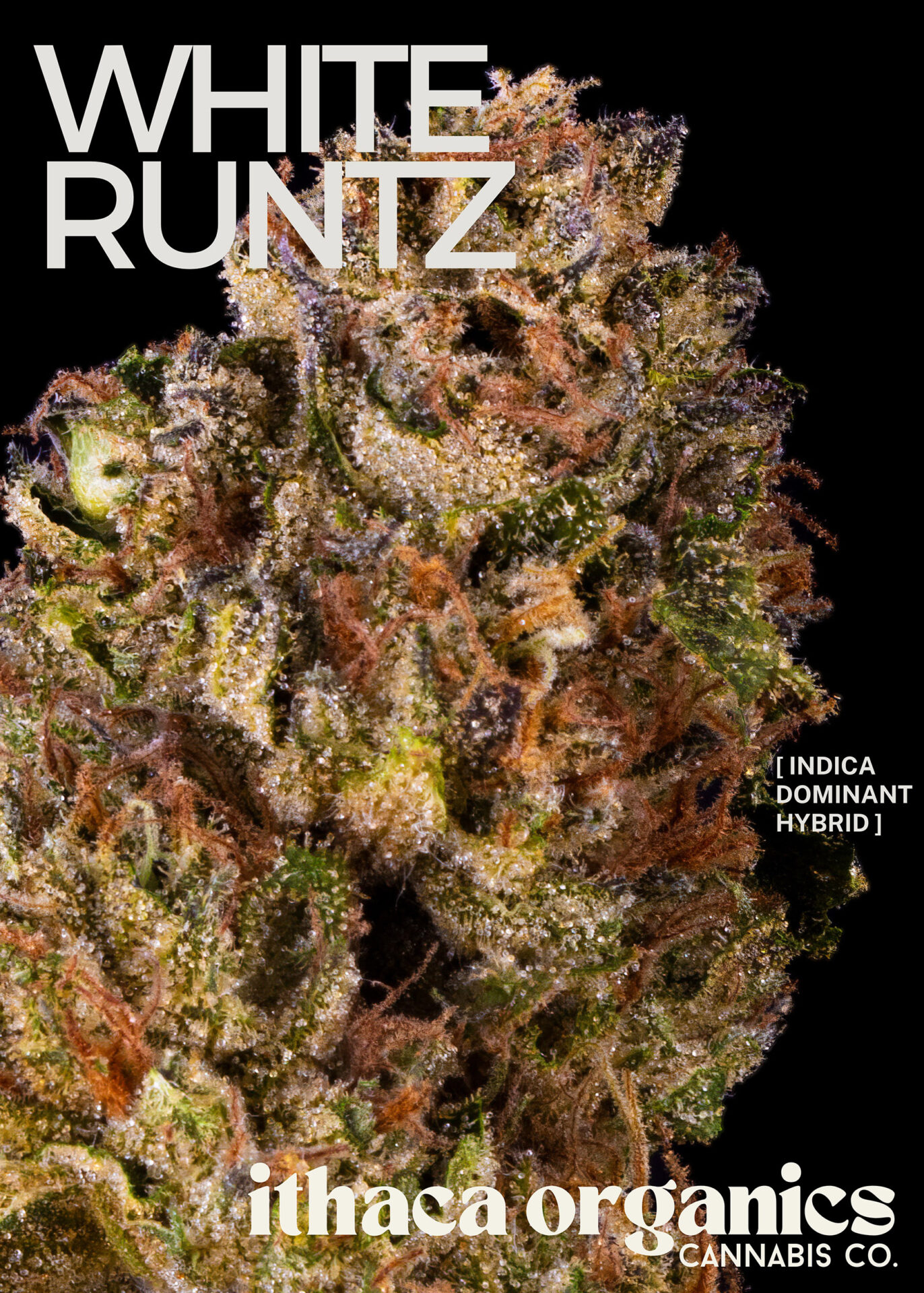 Ithaca Organics White Runtz Hash  (Hybrid Indica) 59.4% {1g}