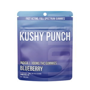 Kushy Punch Blueberry Edible 10-pack