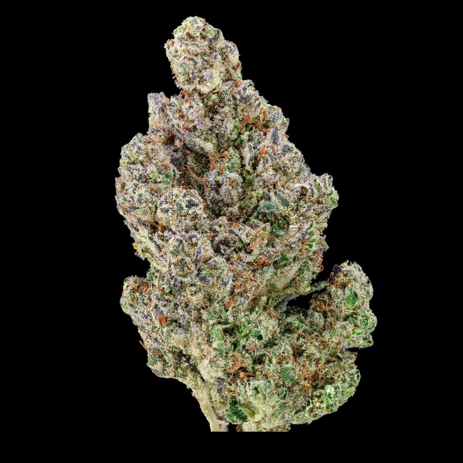 Miss Perry Hash Infused Space Lemons/Miracle Fruit Pre-Roll (Hybrid) 25% {1g}