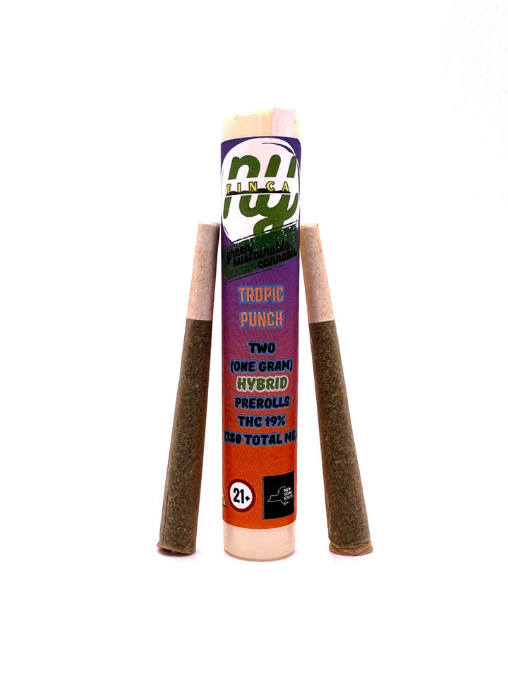 ny-finca-pre-roll-hybrid-tropic-punch-2-pack