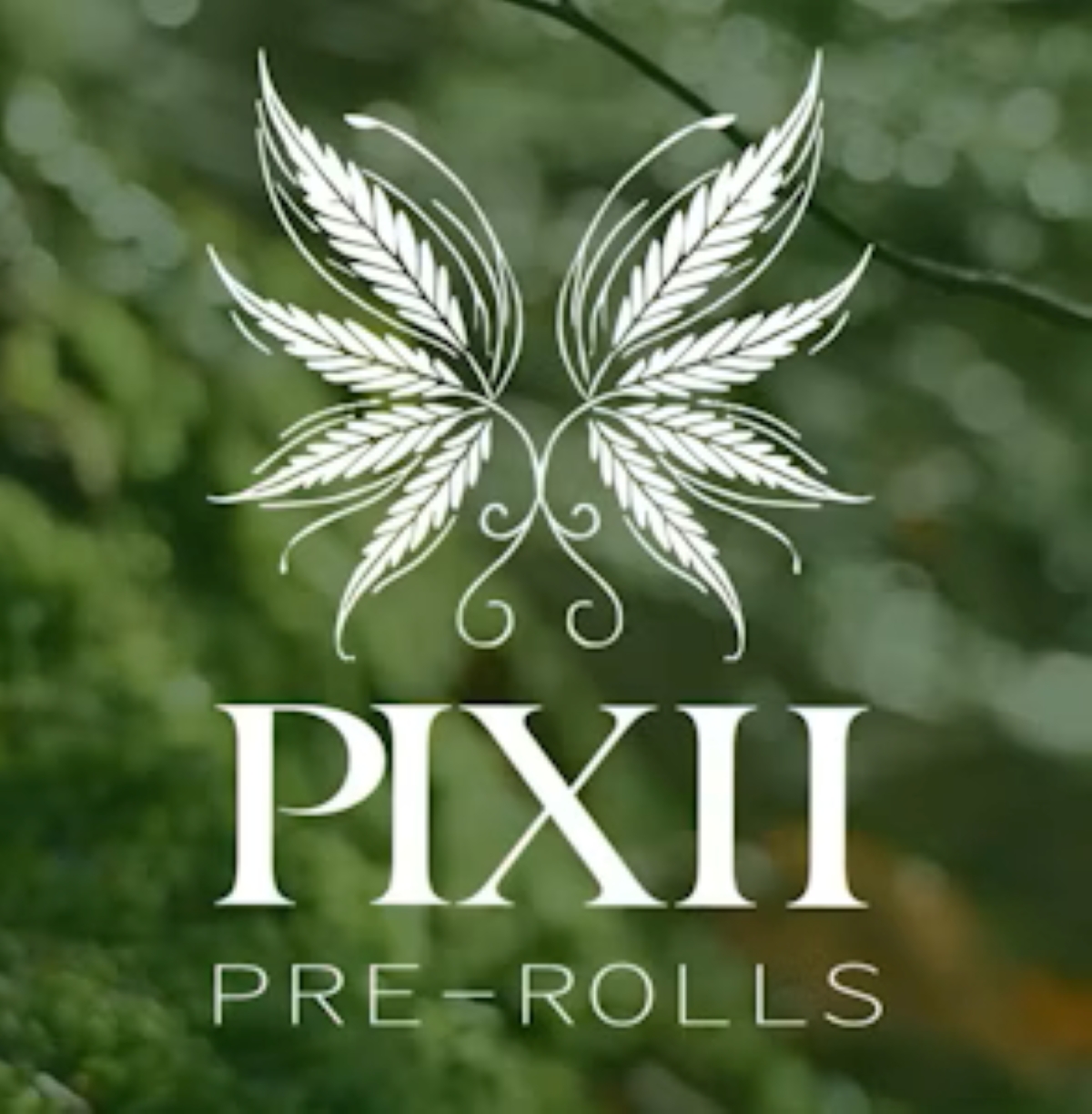 Pixii Z33 Pixii Z33 5pk Pre-roll 2.5g Pre-Rolls 5-pack (Indica) 31.9% {2.5g}