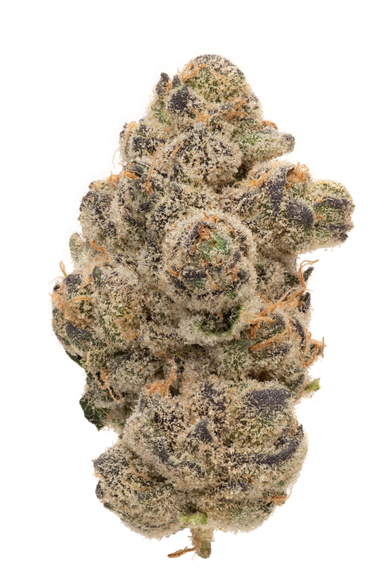 Rolling Green Cannabis Bananaconda Flower  (Hybrid) {3.5g}