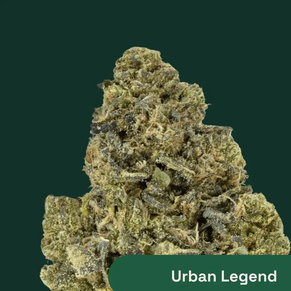The Botanist Urban Legend Flower  (Indica) 28% {3.5g}