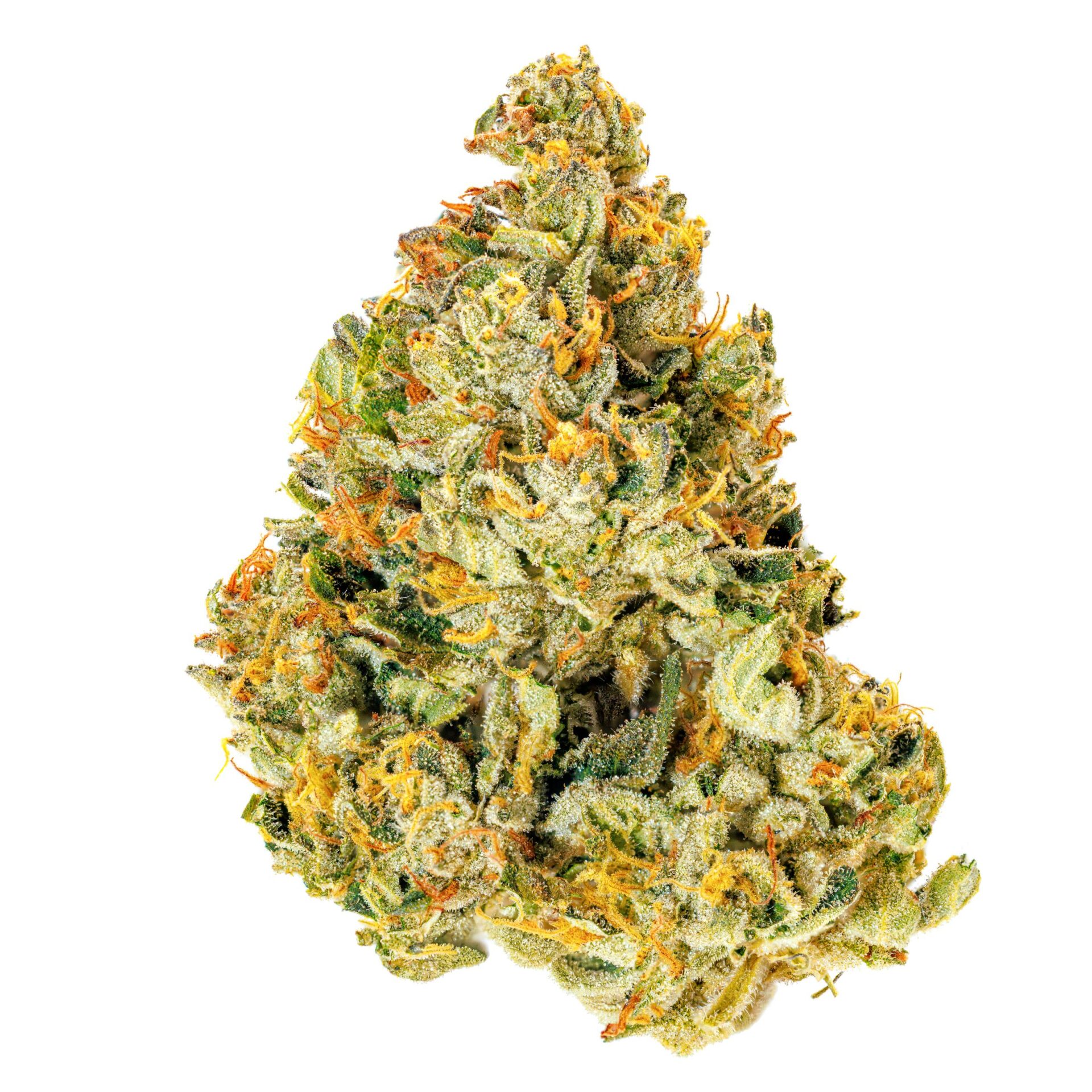 Umamii Blue Bacio Flower  (Hybrid) 22.20% {14g}