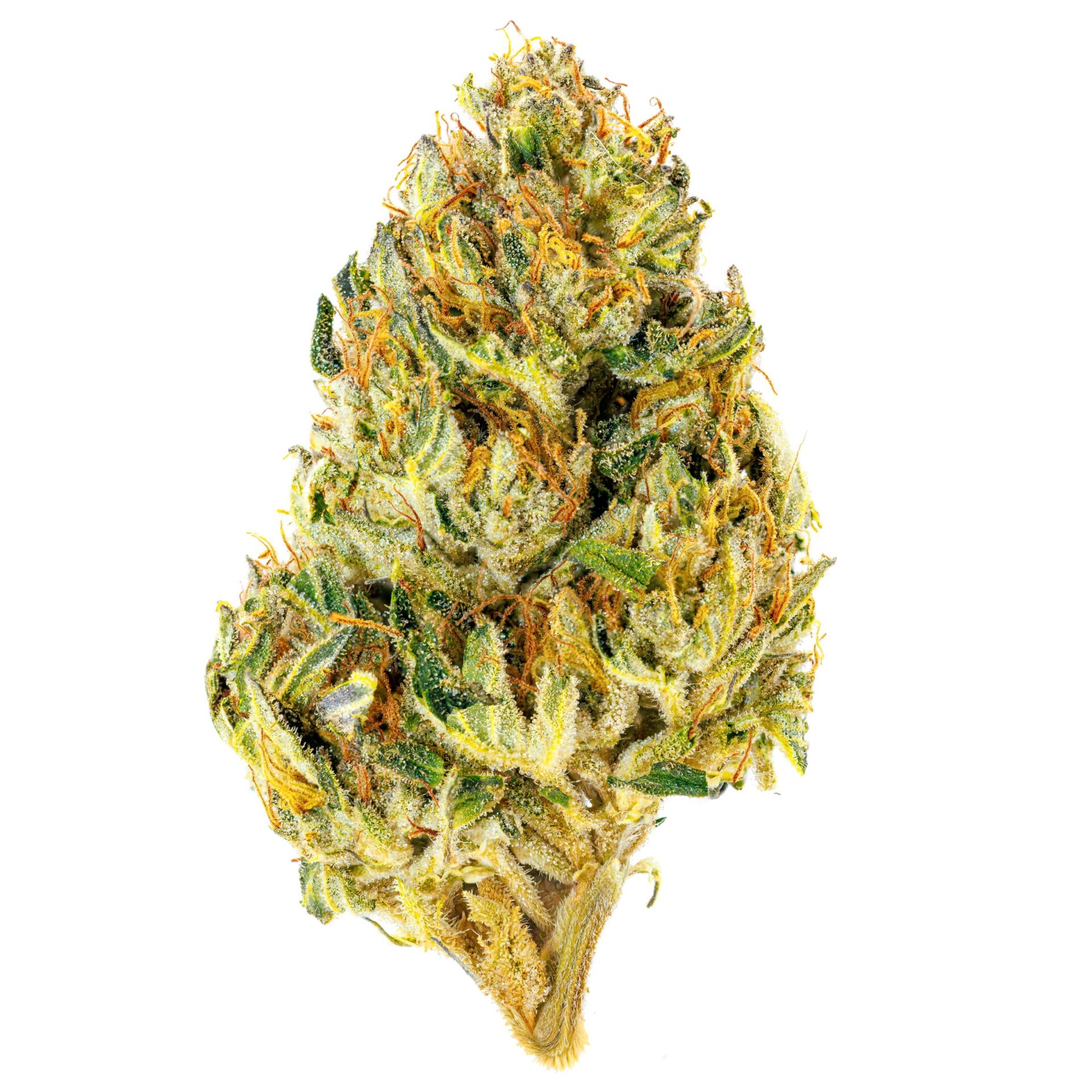 Umamii Carbon Fiber Flower  (Hybrid) 23.00% {14g}