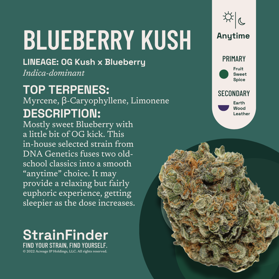 Untitled Blueberry Kush Flower  (Indica) 26% {7g}