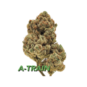 Urban Xtracts A-Train Flower
