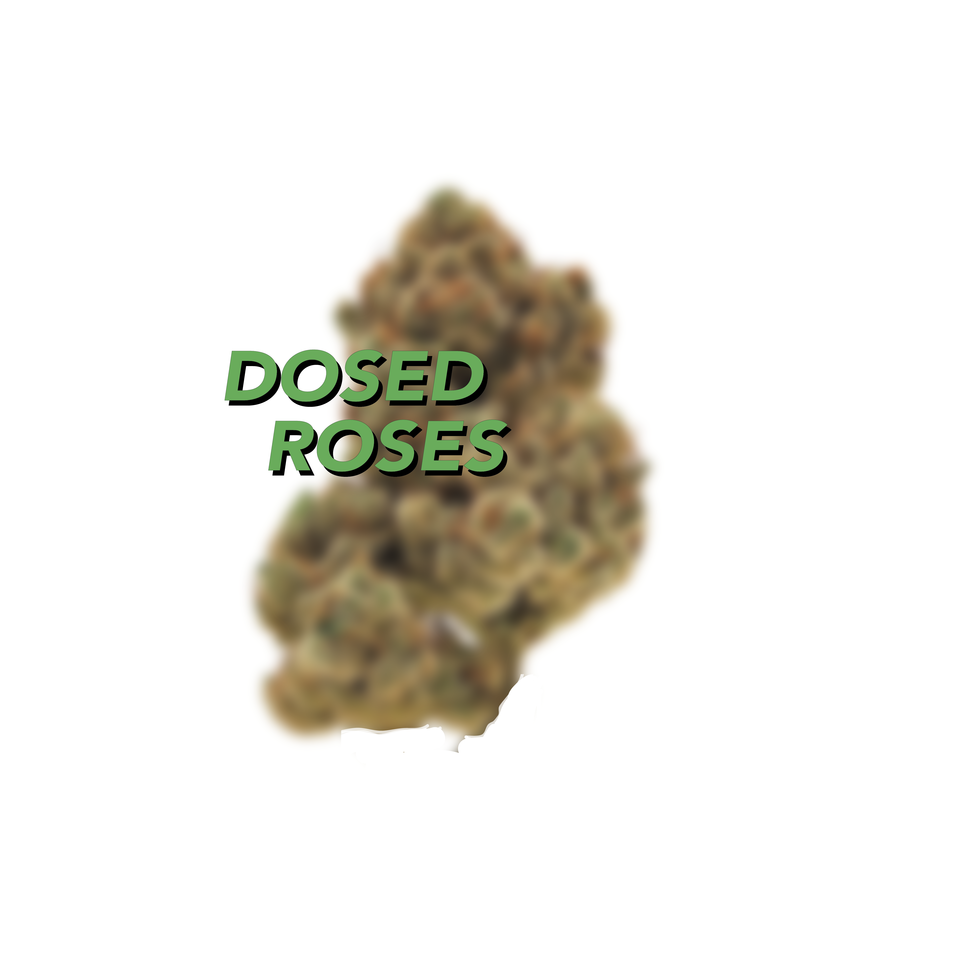 Urban Xtracts Dosed Roses Flower