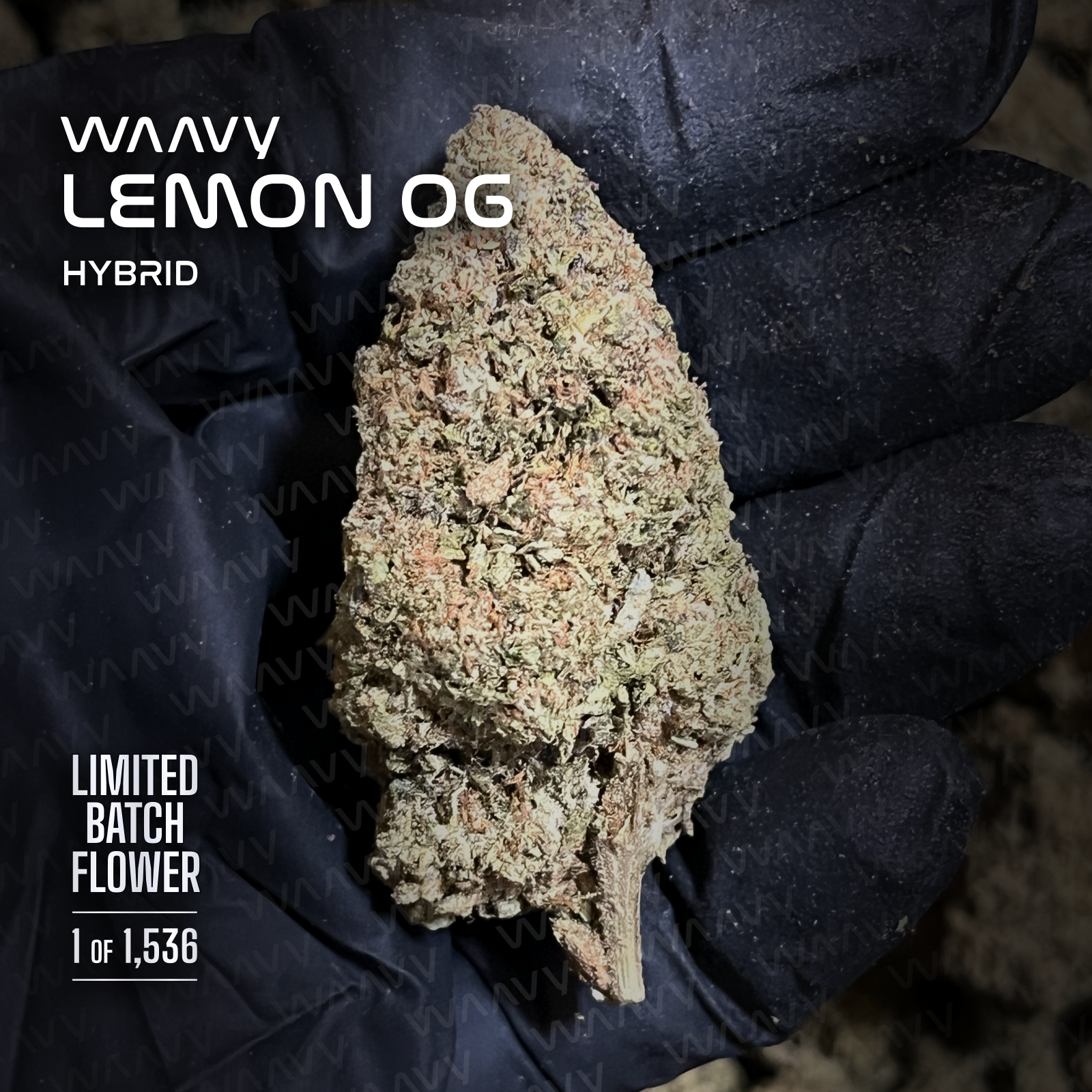 WAAVY LEMON OG LIMITED BATCH FLOWER
