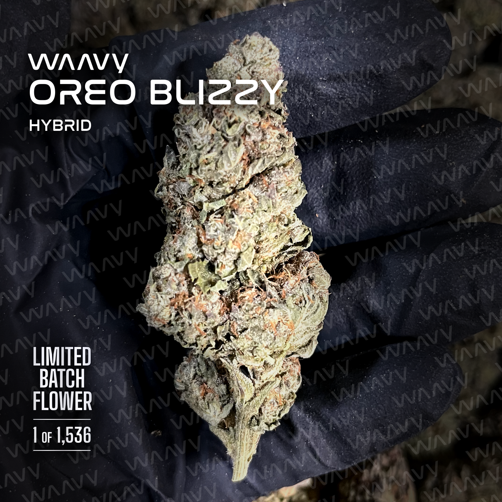 WAAVY OREO BLIZZY LIMITED BATCH FLOWER